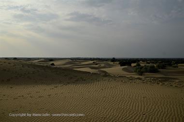 03 Camelride,_Sanddunes,_Kuri_DSC3409_b_H600